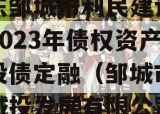 山东邹城市利民建设发展2023年债权资产城投债定融（邹城市利民城投发展有限公司）