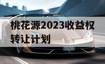 桃花源2023收益权转让计划
