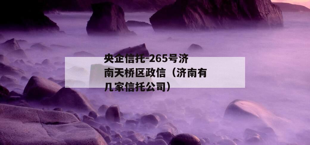 央企信托-265号济南天桥区政信（济南有几家信托公司）