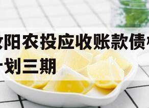 汝阳农投应收账款债权计划三期