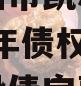 四川资阳市凯利建设投资2024年债权资产转让城投债定融