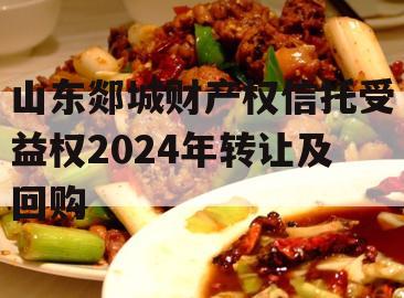山东郯城财产权信托受益权2024年转让及回购