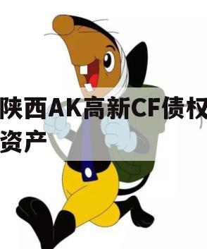 陕西AK高新CF债权资产