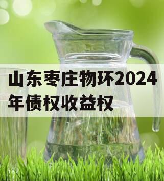 山东枣庄物环2024年债权收益权