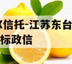 XX信托-江苏东台市非标政信