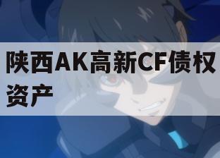 陕西AK高新CF债权资产