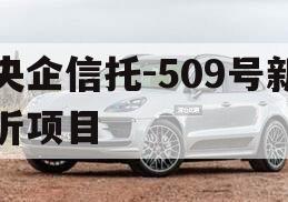央企信托-509号新沂项目
