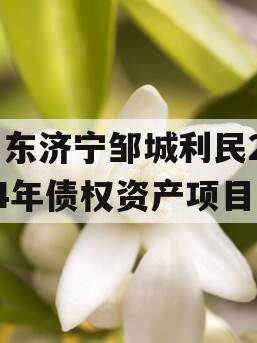 山东济宁邹城利民2024年债权资产项目