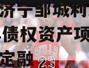 山东济宁邹城利民2024年债权资产项目城投债定融