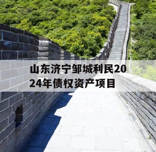 山东济宁邹城利民2024年债权资产项目