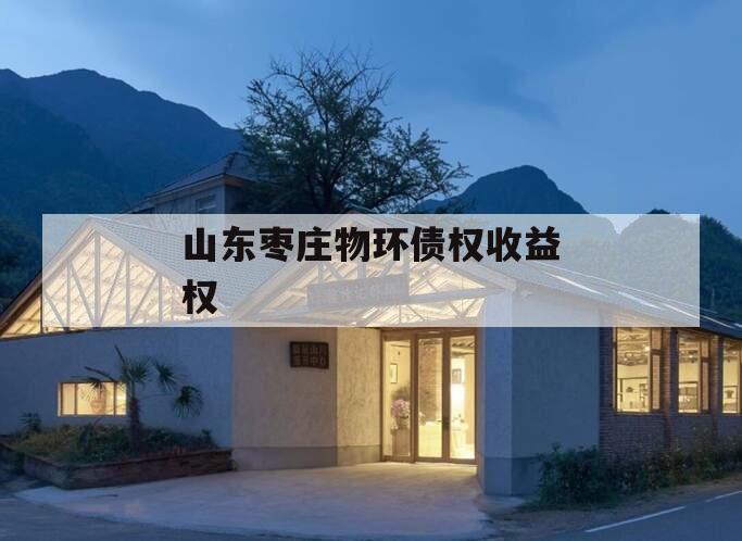 山东枣庄物环债权收益权