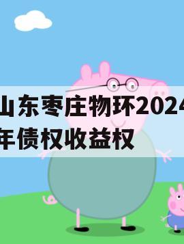 山东枣庄物环2024年债权收益权