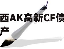 陕西AK高新CF债权资产