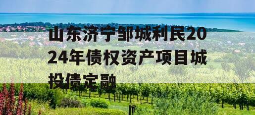 山东济宁邹城利民2024年债权资产项目城投债定融