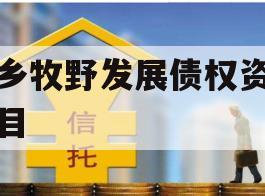 新乡牧野发展债权资产项目