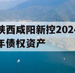 陕西咸阳新控2024年债权资产
