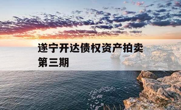 遂宁开达债权资产拍卖第三期