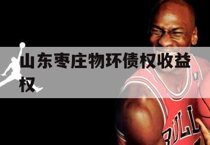 山东枣庄物环债权收益权