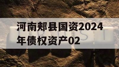 河南郏县国资2024年债权资产02