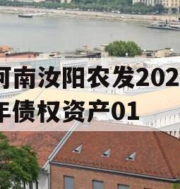 河南汝阳农发2024年债权资产01