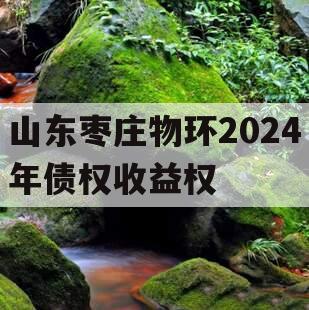 山东枣庄物环2024年债权收益权