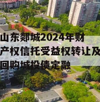 山东郯城2024年财产权信托受益权转让及回购城投债定融