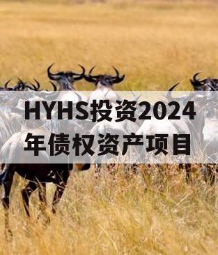 HYHS投资2024年债权资产项目