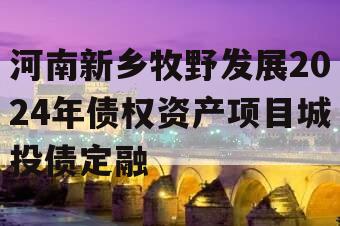 河南新乡牧野发展2024年债权资产项目城投债定融