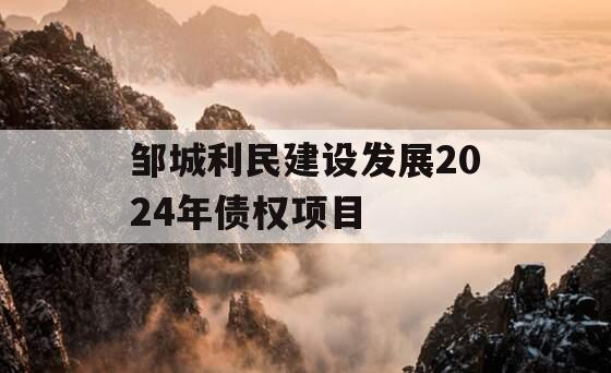 邹城利民建设发展2024年债权项目 邹城利民建设发展2024年债权项目