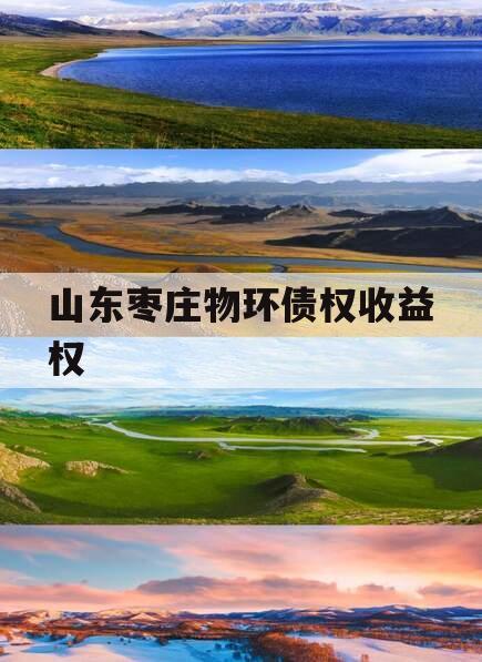 山东枣庄物环债权收益权