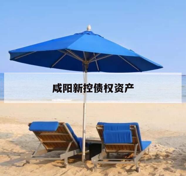 咸阳新控债权资产