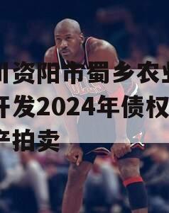 四川资阳市蜀乡农业投资开发2024年债权资产拍卖