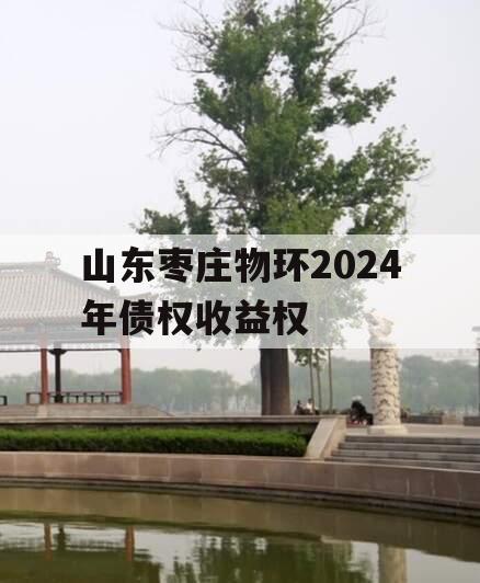 山东枣庄物环2024年债权收益权