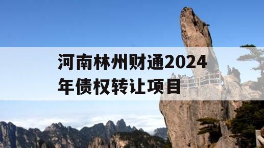 河南林州财通2024年债权转让项目