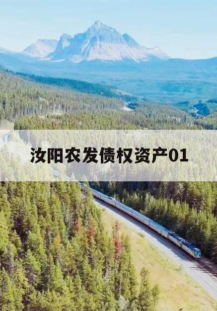 汝阳农发债权资产01 汝阳农发债权资产01