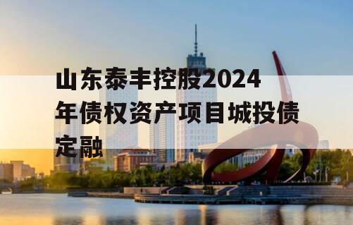 山东泰丰控股2024年债权资产项目城投债定融