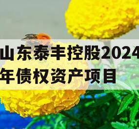山东泰丰控股2024年债权资产项目