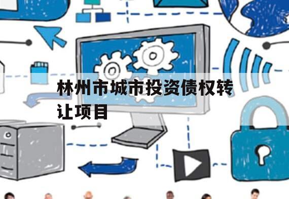 林州市城市投资债权转让项目