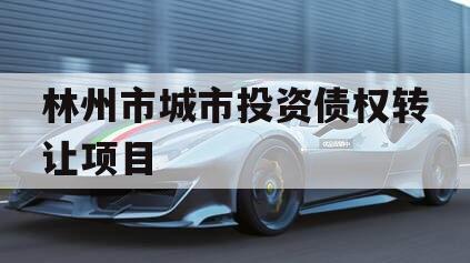 林州市城市投资债权转让项目