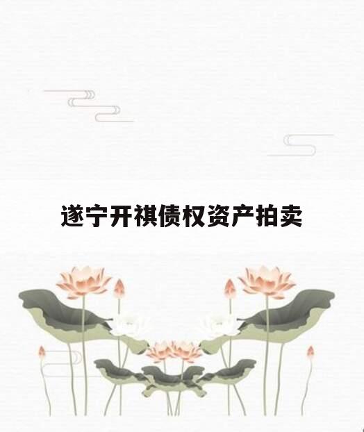 遂宁开祺债权资产拍卖