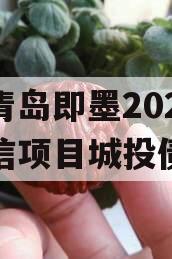 山东青岛即墨2024年政信项目城投债定融