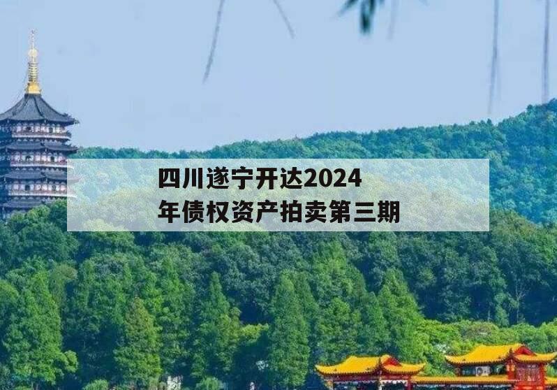 四川遂宁开达2024年债权资产拍卖第三期