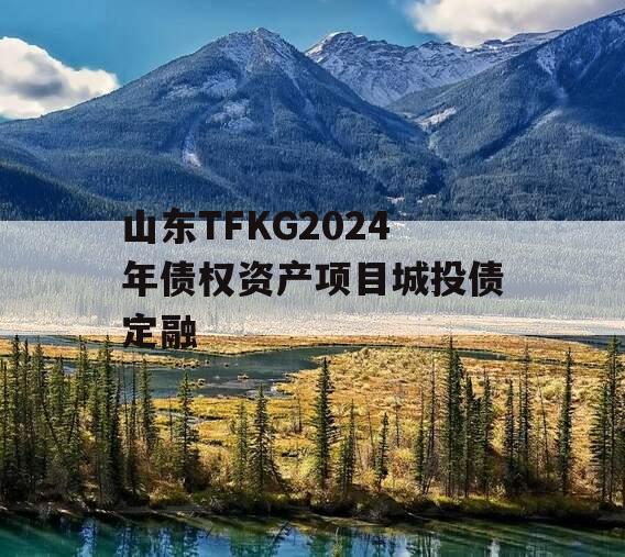 山东TFKG2024年债权资产项目城投债定融