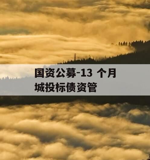 国资公募-13 个月城投标债资管