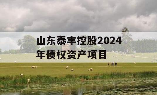 山东泰丰控股2024年债权资产项目