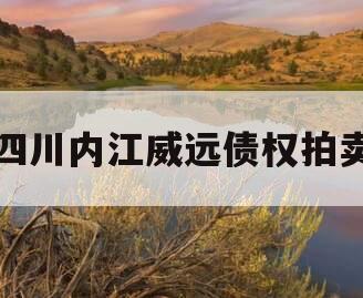 四川内江威远债权拍卖