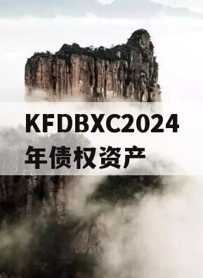 KFDBXC2024年债权资产