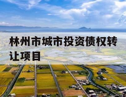 林州市城市投资债权转让项目