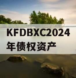 KFDBXC2024年债权资产