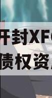 河南开封XFGT2024年债权资产